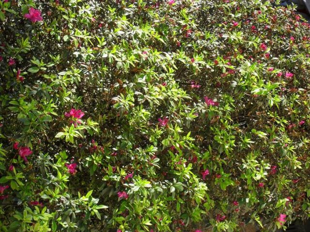 image088